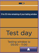 Test Day