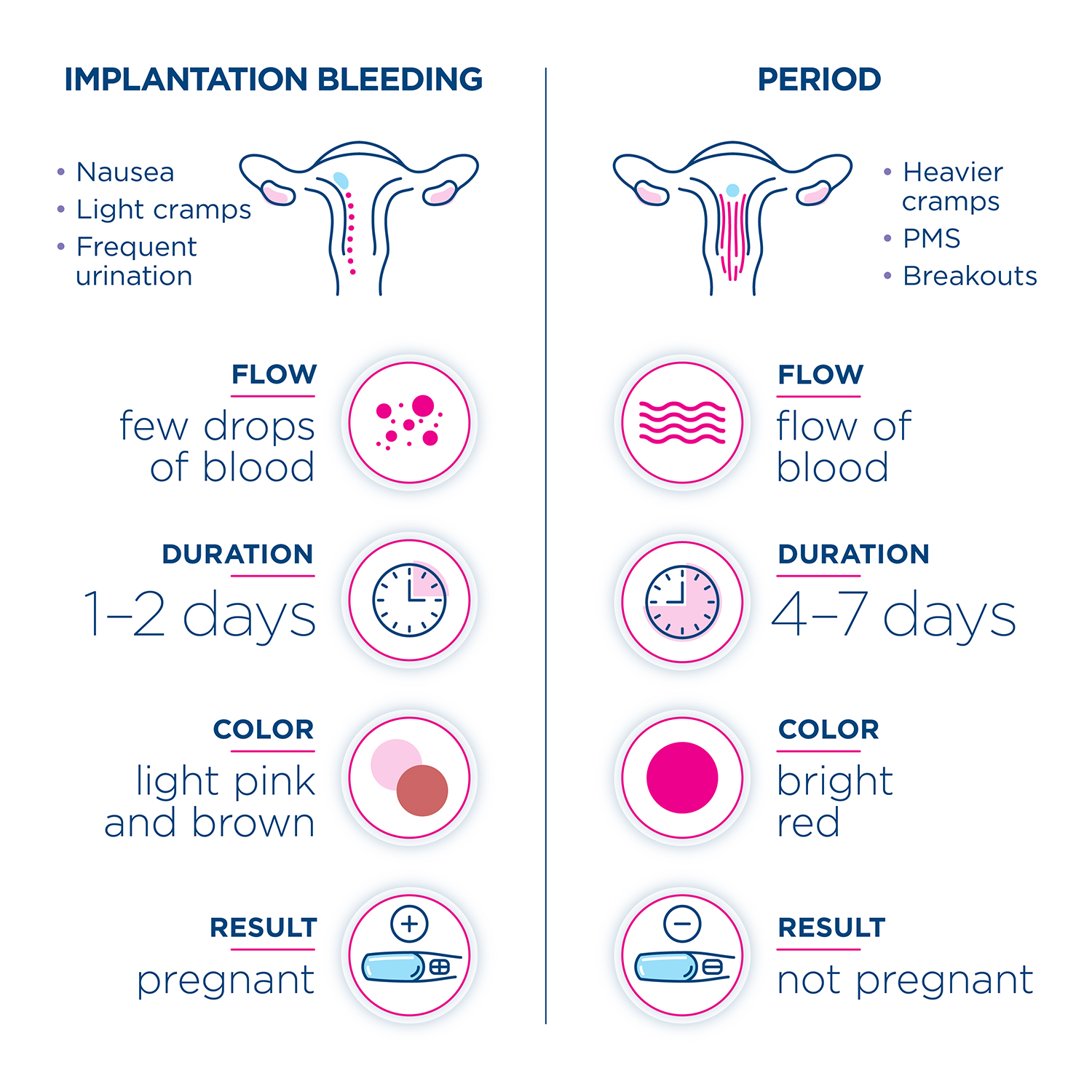 Pregnancy Early Bleeding Asnachicago