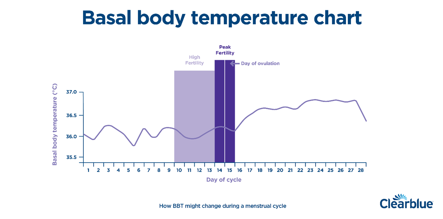 normal body temperature diagram