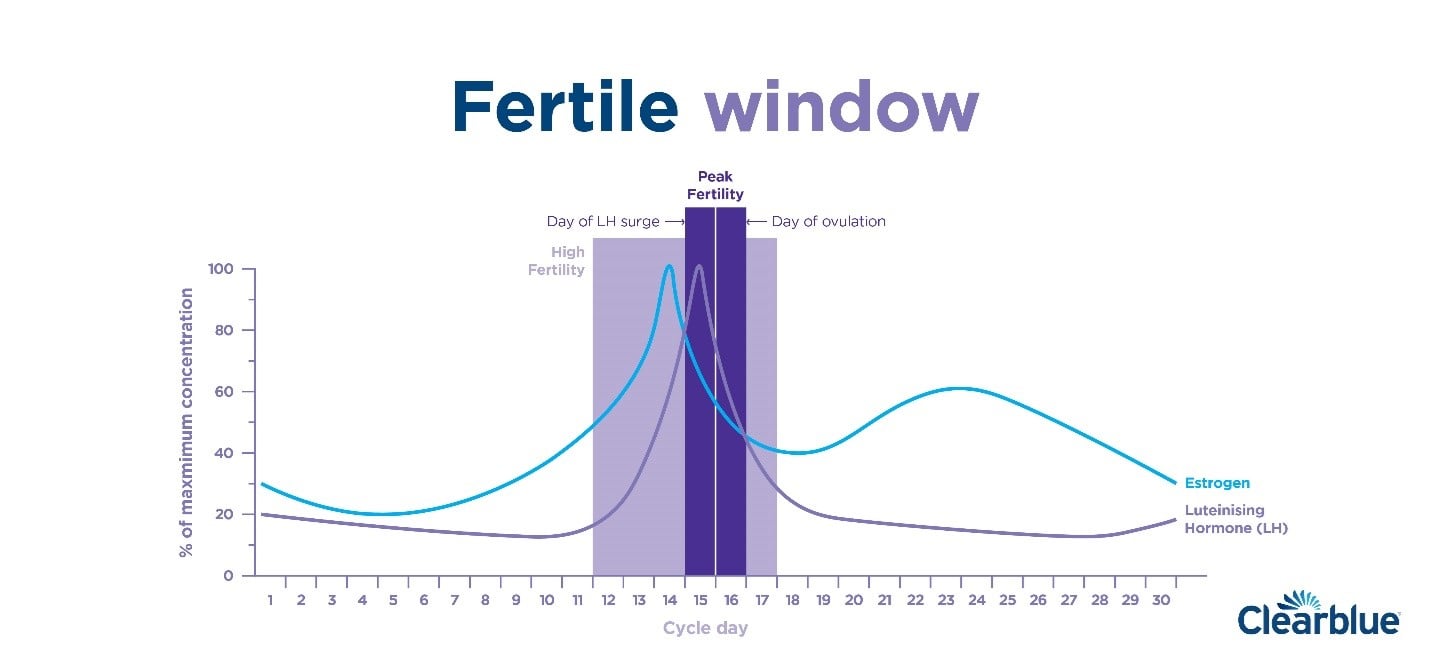 Predicted most fertile days in relation to cycle length