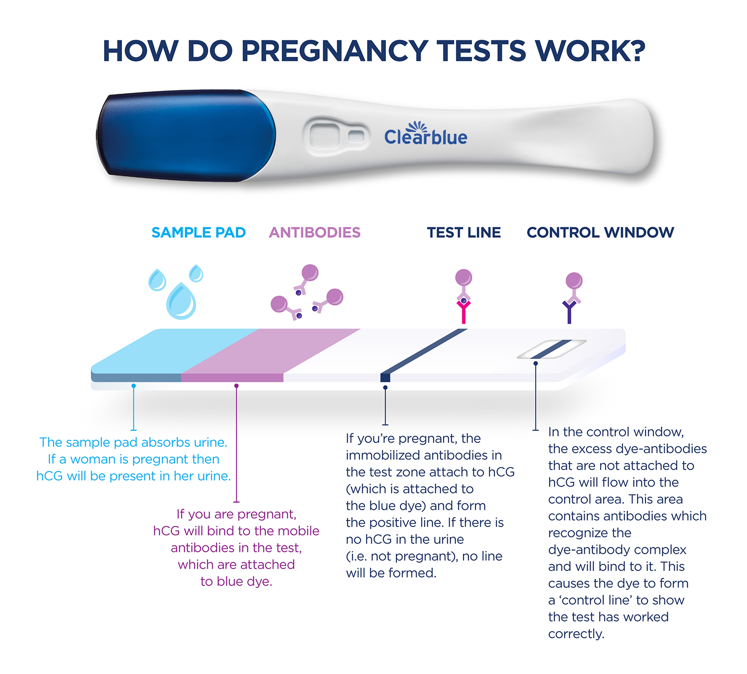 When To Take A Pregnancy Test Calculate When To Test Clearblue