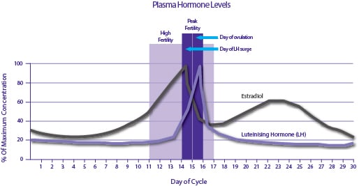 Timing of Sexual Intercourse in Relation to Ovulation — Effects on