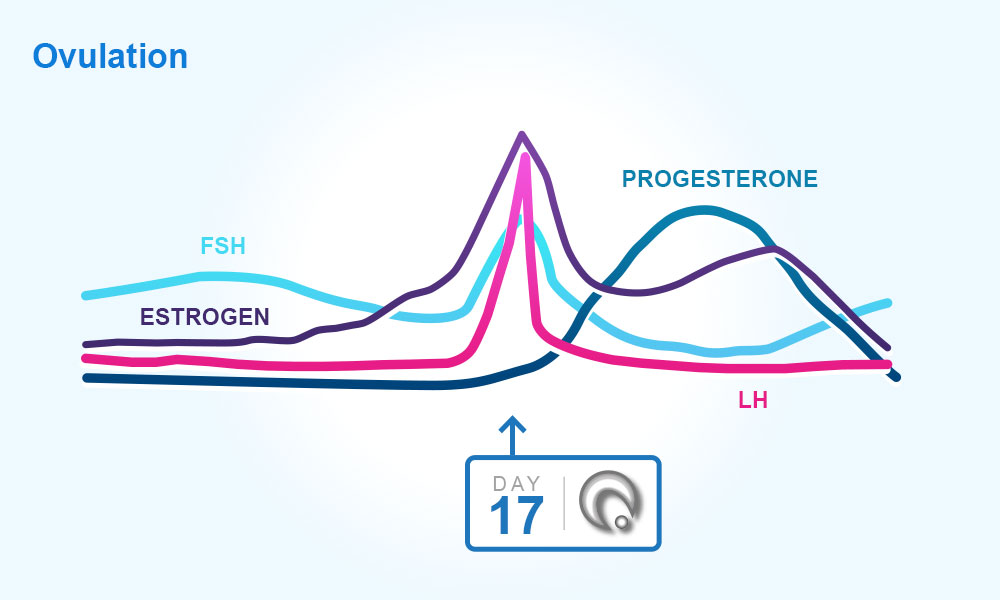 Understanding Menstrual Cycles Your Periods And Ovulation Clearblue