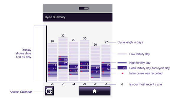 Example cycle summary chart