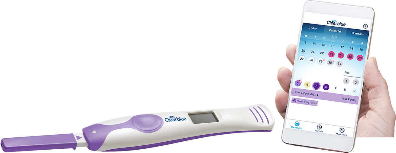 Fertility Monitor