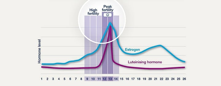 Shows both High and Peak fertility days