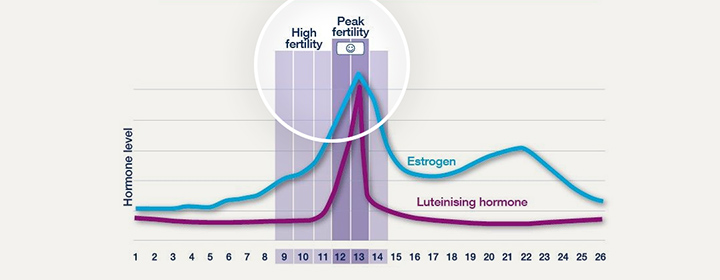 Shows both High and Peak fertility days