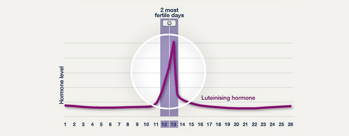 Digital Ovulation Test: Identify Your 2 Best Days – Clearblue